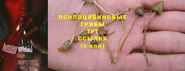 прущие крисы Арсеньев