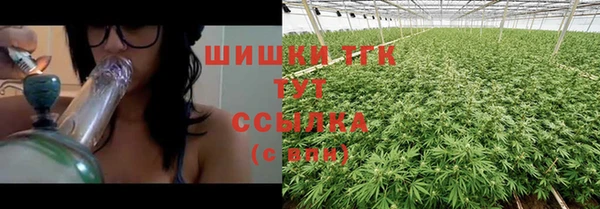 прущие крисы Арсеньев